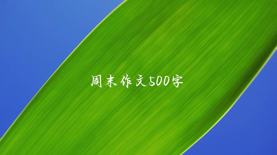 周末作文500字