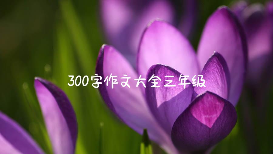 300字作文大全三年级