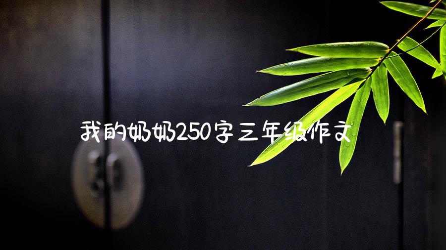 我的奶奶250字三年级作文