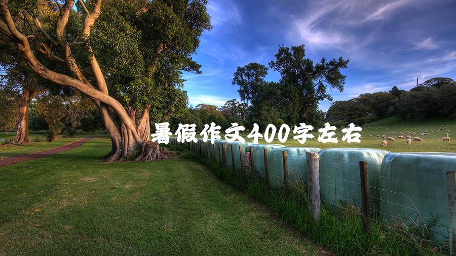 暑假作文400字左右