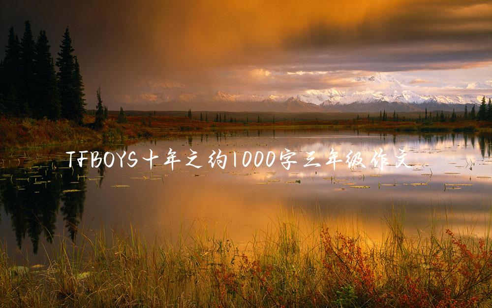 TFBOYS十年之约1000字三年级作文