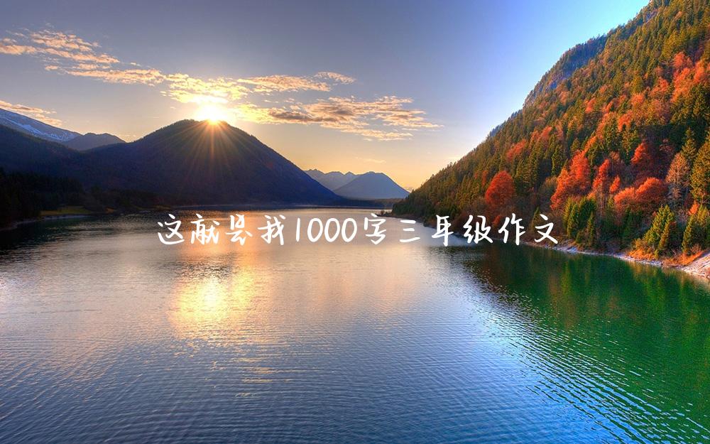 这就是我1000字三年级作文