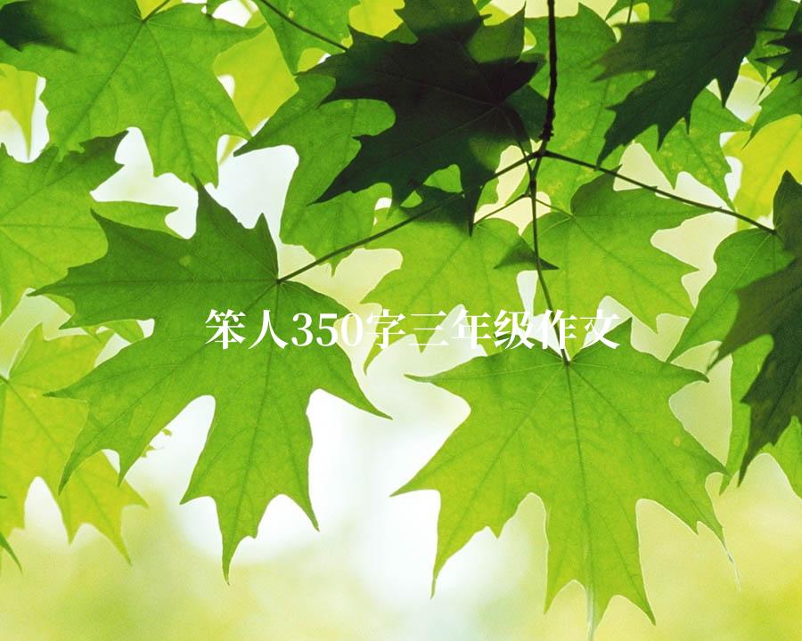 笨人350字三年级作文