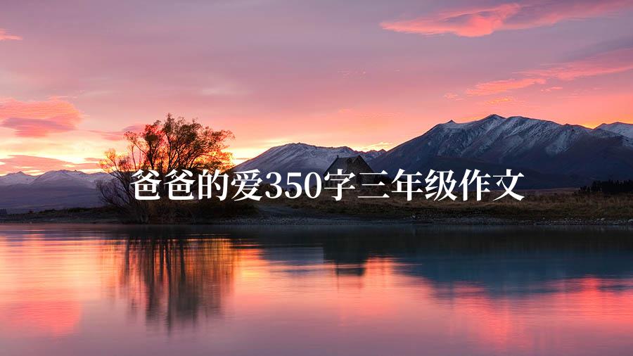 爸爸的爱350字三年级作文