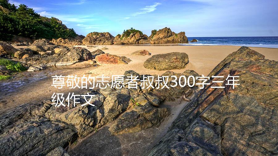 尊敬的志愿者叔叔300字三年级作文