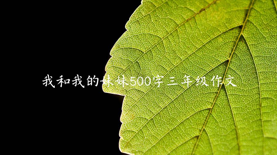 我和我的妹妹500字三年级作文