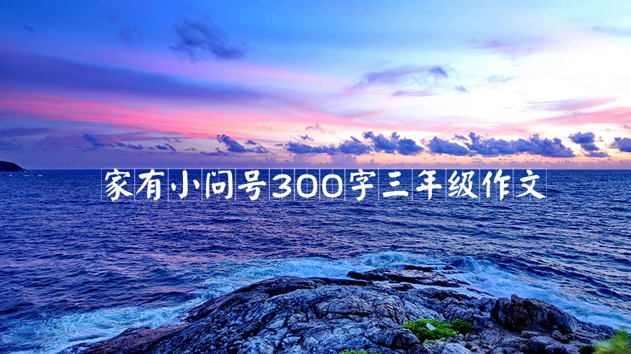 家有小问号300字三年级作文