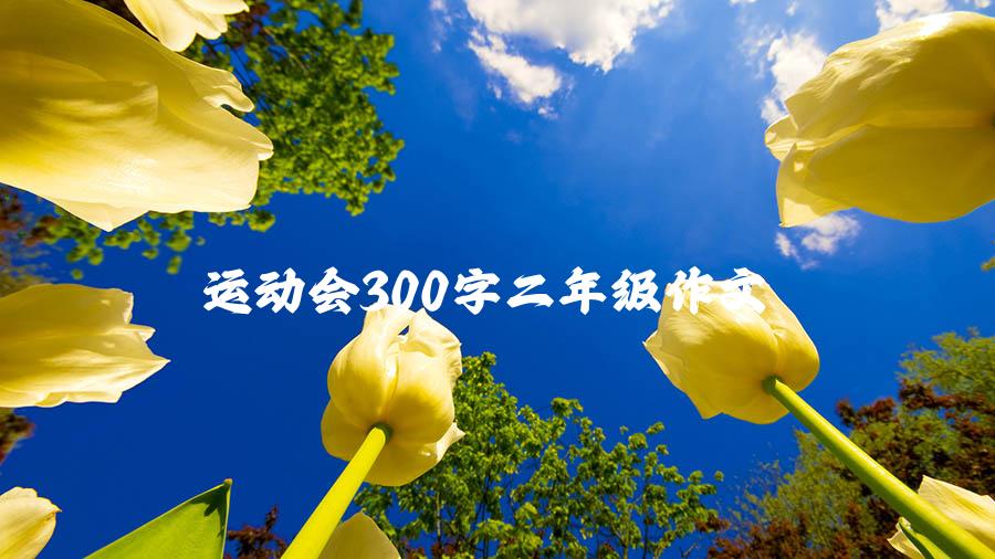 运动会300字二年级作文