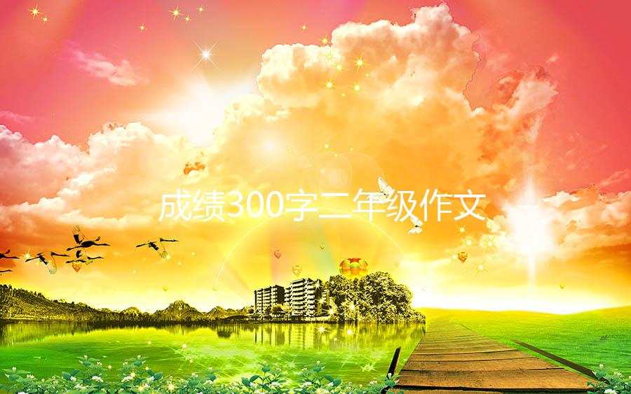 成绩300字二年级作文