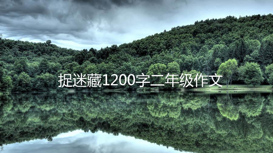 捉迷藏1200字二年级作文