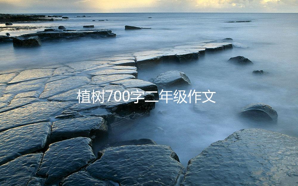 植树700字二年级作文