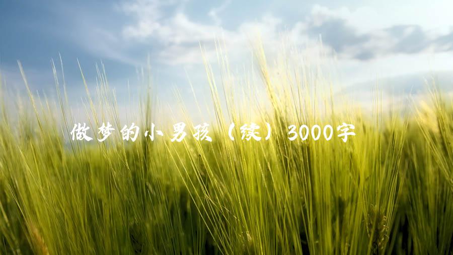 做梦的小男孩（续）3000字