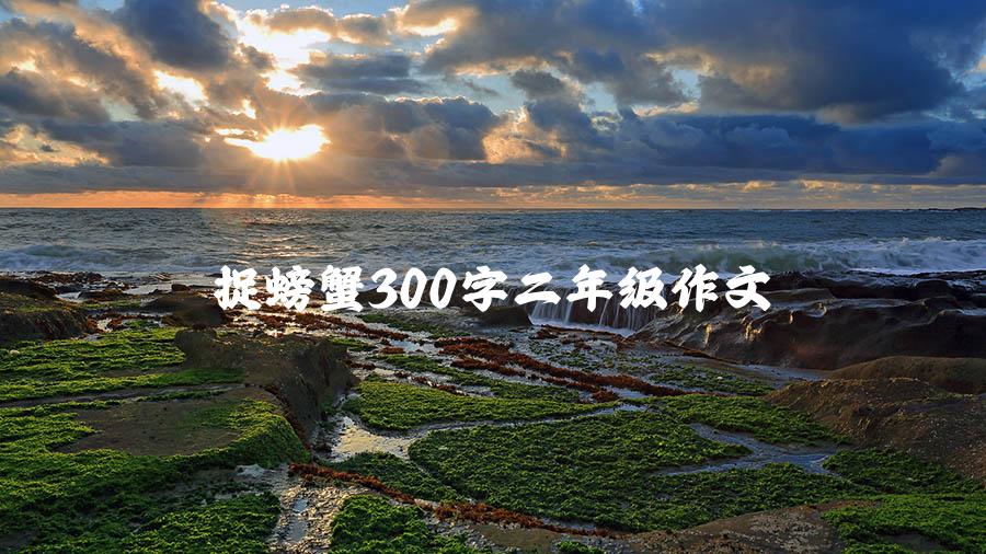 捉螃蟹300字二年级作文