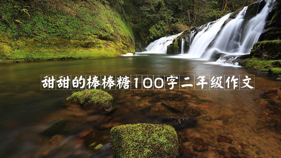 甜甜的棒棒糖100字二年级作文