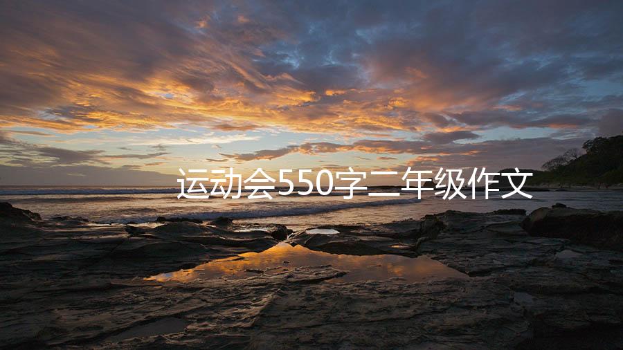 运动会550字二年级作文