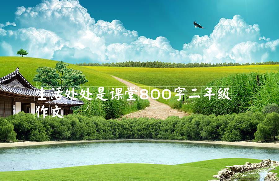 生活处处是课堂800字二年级作文