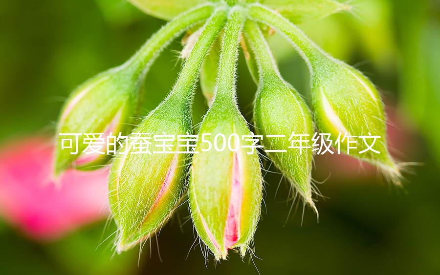 可爱的蚕宝宝500字二年级作文