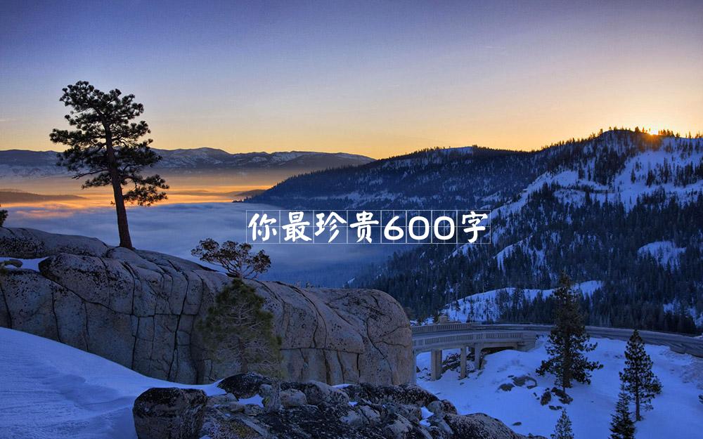 你最珍贵600字