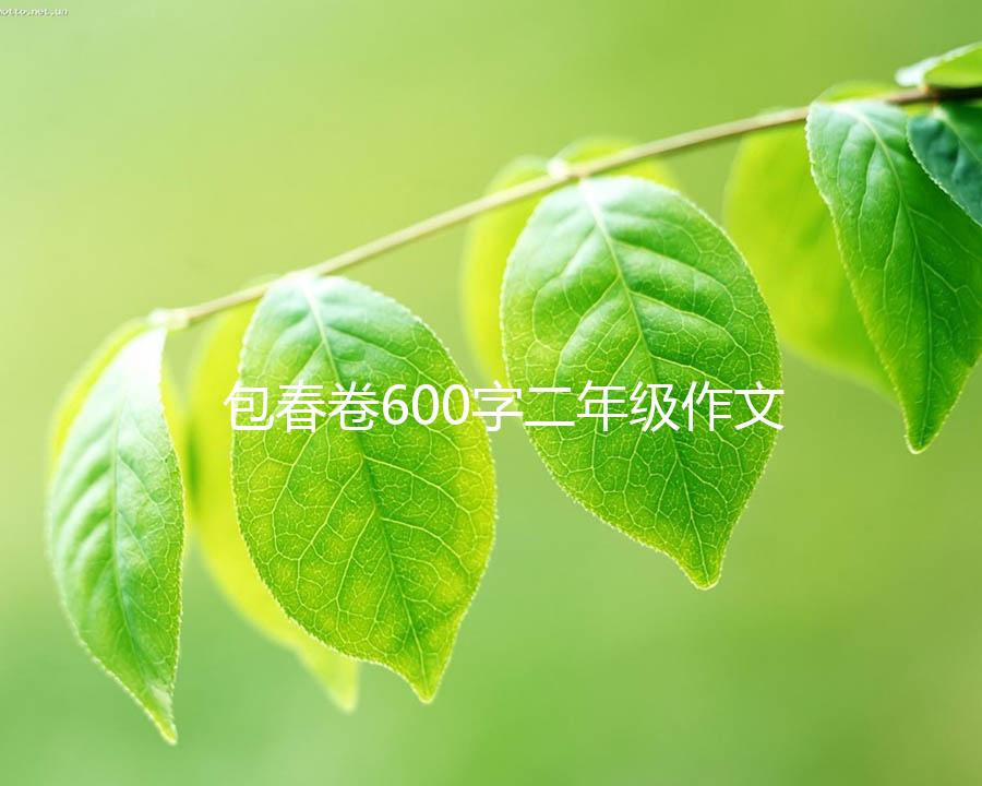 包春卷600字二年级作文