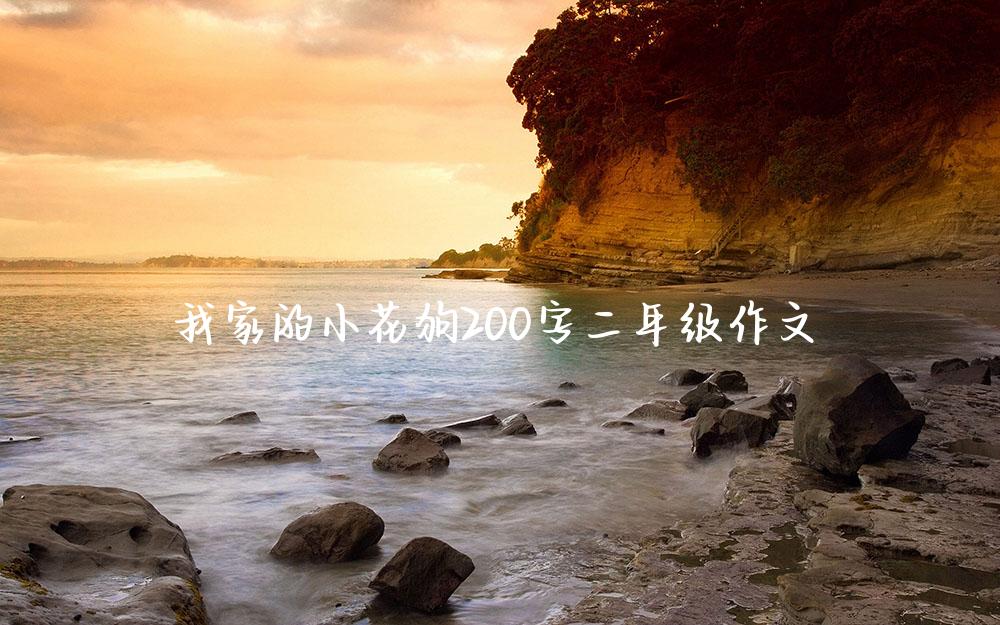 我家的小花狗200字二年级作文