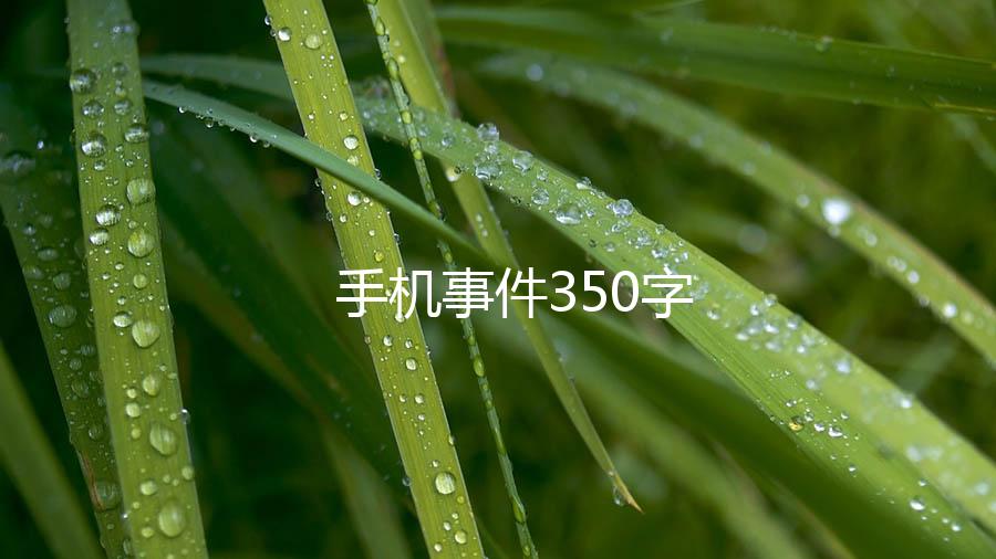 手机事件350字