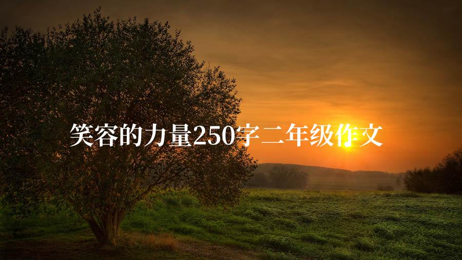 笑容的力量250字二年级作文