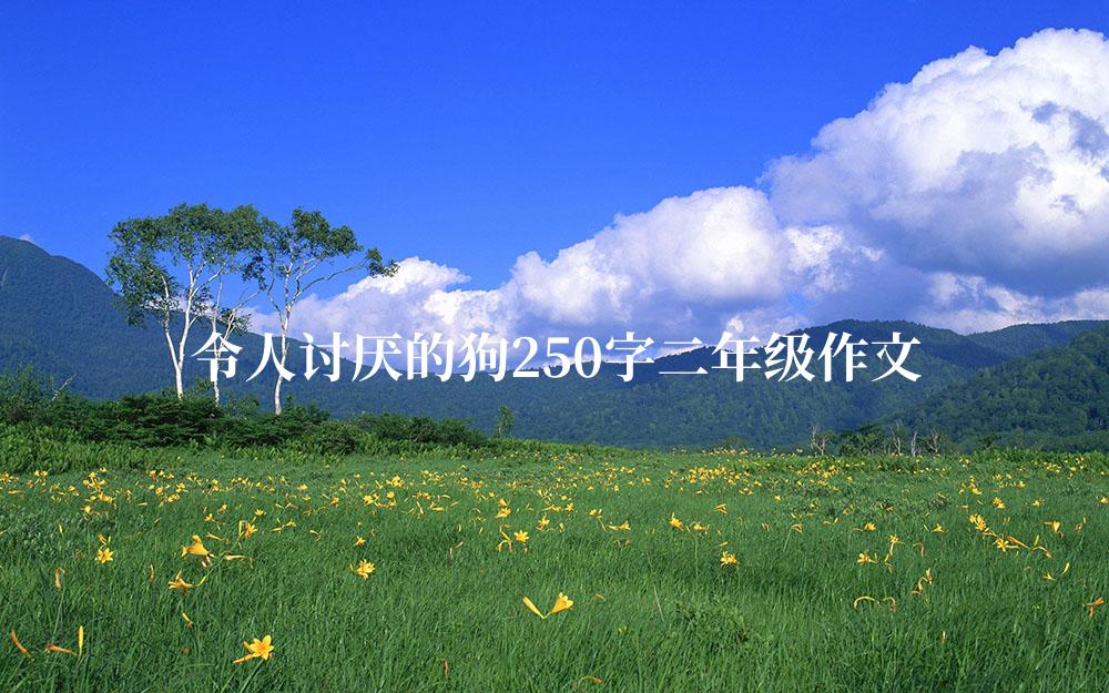 令人讨厌的狗250字二年级作文