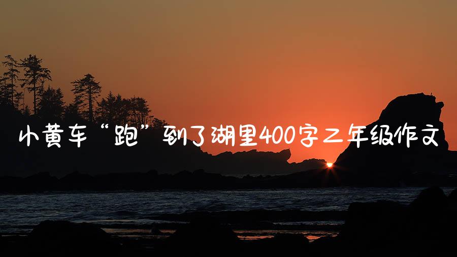 小黄车“跑”到了湖里400字二年级作文