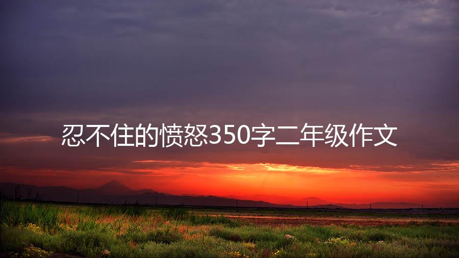 忍不住的愤怒350字二年级作文