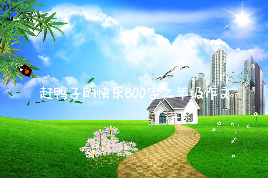 赶鸭子的快乐800字二年级作文