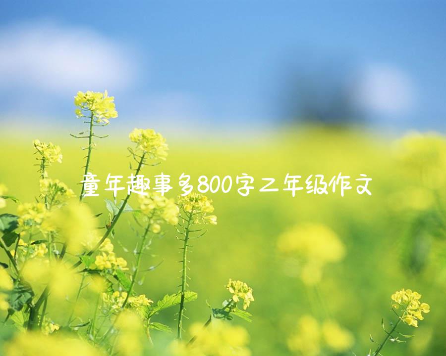 童年趣事多800字二年级作文