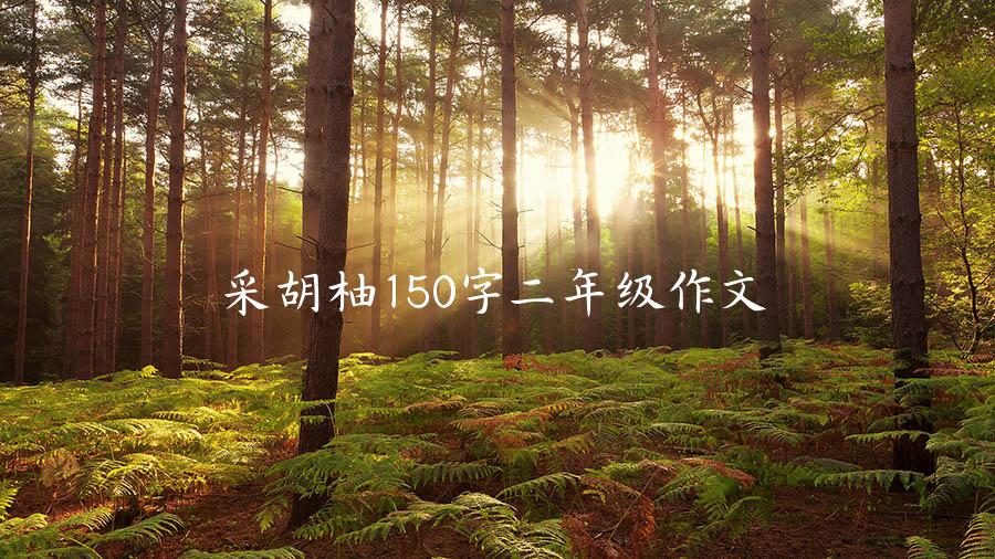 采胡柚150字二年级作文