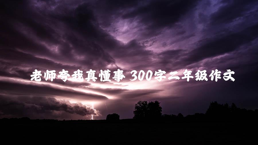 老师夸我真懂事 300字二年级作文