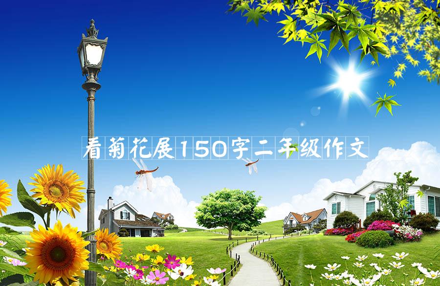 看菊花展150字二年级作文