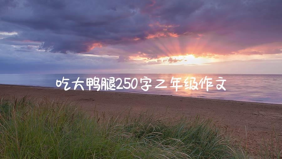 吃大鸭腿250字二年级作文