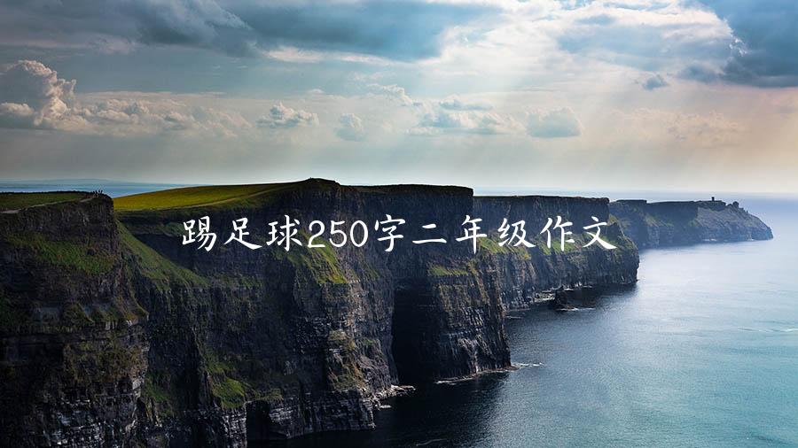 踢足球250字二年级作文