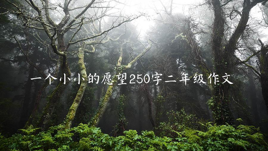 一个小小的愿望250字二年级作文