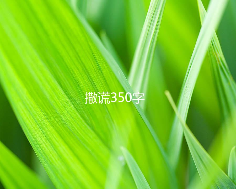 撒谎350字