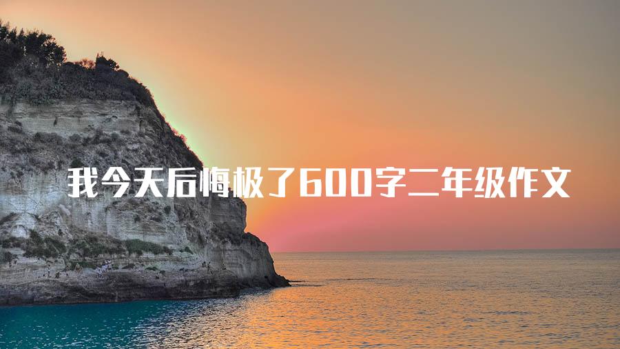 我今天后悔极了600字二年级作文