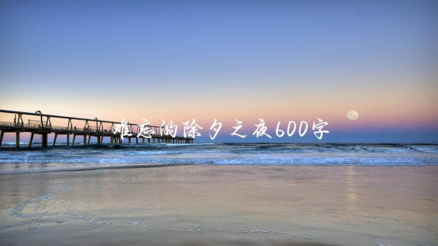 难忘的除夕之夜600字