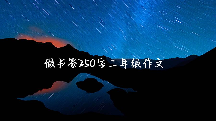 做书签250字二年级作文