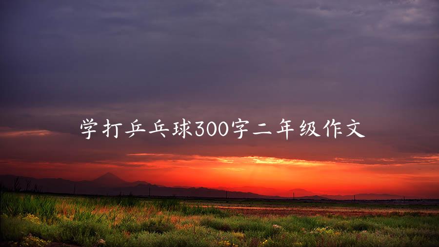 学打乒乓球300字二年级作文