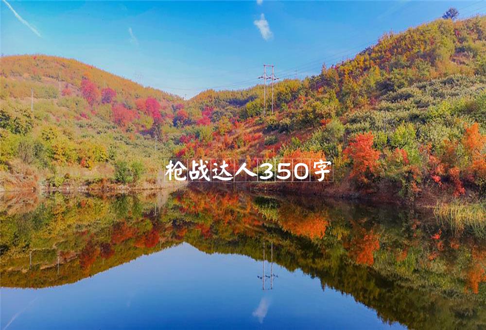 枪战达人350字