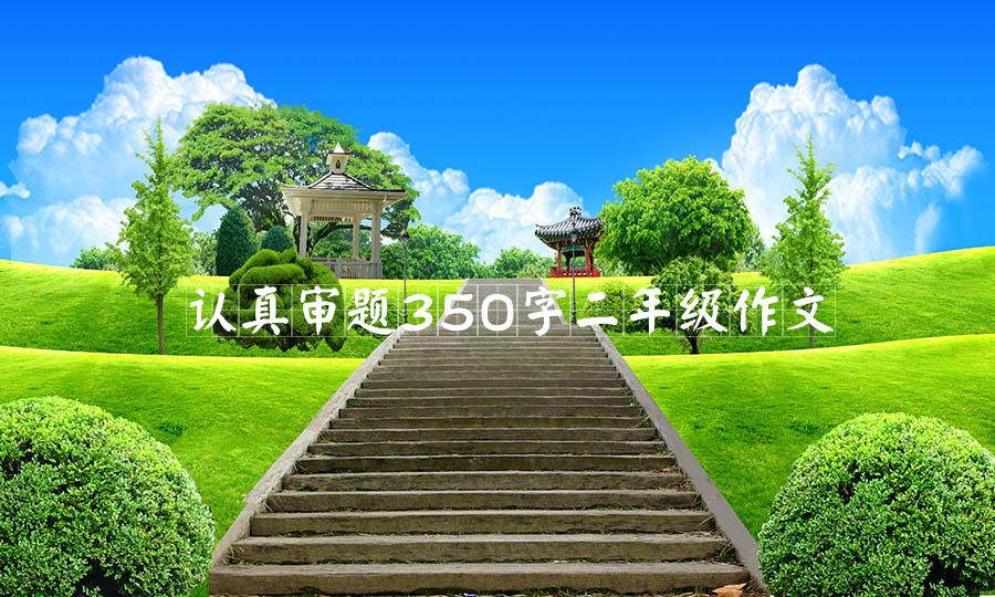 认真审题350字二年级作文