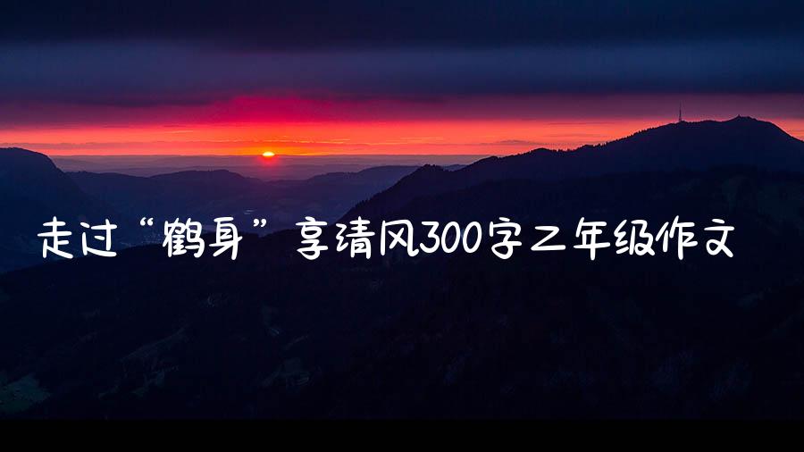 走过“鹤身”享清风300字二年级作文