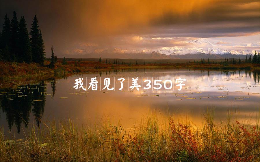 我看见了美350字