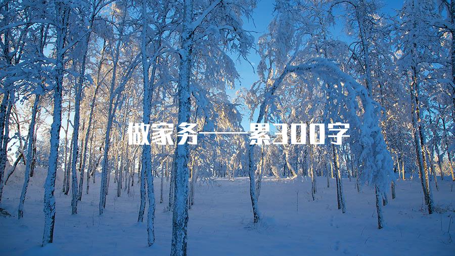 做家务——累300字