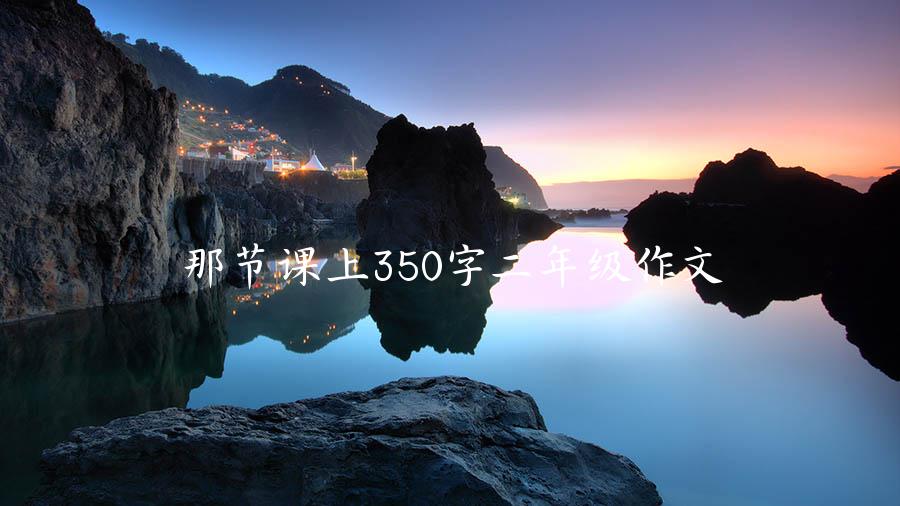 那节课上350字二年级作文