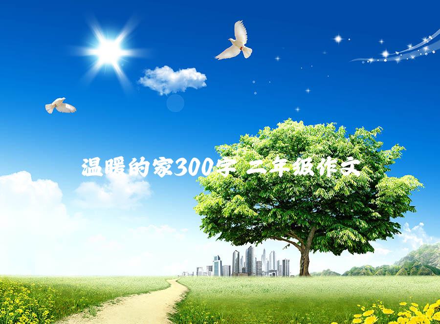 温暖的家300字 二年级作文