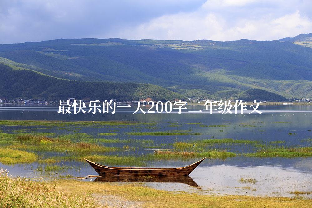 最快乐的一天200字二年级作文